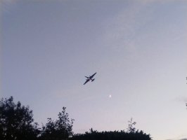 IMG_20250630_214052347_AE.jpg