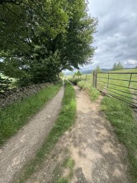 IMG_4490.jpeg