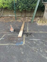 IMG_4617.jpeg
