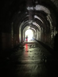 IMG_4593.jpeg