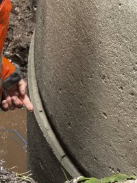 IMG_7107.jpeg
