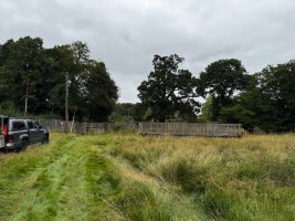 IMG_7895.jpeg