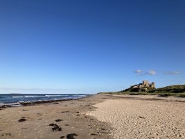 IMG_5252.jpeg