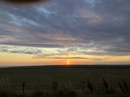 IMG_5284.jpeg