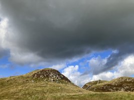 IMG_5310.jpeg