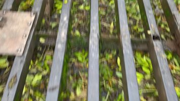 WP_20251025_11_37_14_Pro.jpg