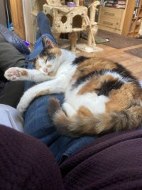 IMG_0889.jpeg
