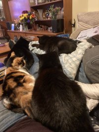 IMG_0657.jpeg