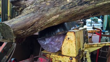 WP_20251115_12_04_58_Pro.jpg WP_20251115_12_04_58_Pro.jpg