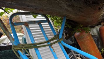 WP_20251115_12_04_48_Pro.jpg WP_20251115_12_04_48_Pro.jpg