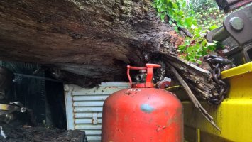 WP_20251115_12_04_24_Pro.jpg WP_20251115_12_04_24_Pro.jpg