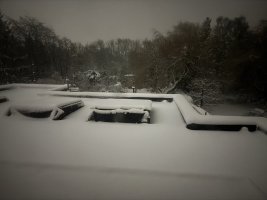 IMG_4917.jpeg