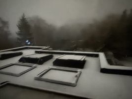 IMG_6194.jpeg
