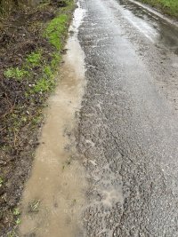 IMG_3870.jpeg