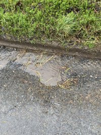 IMG_3877.jpeg