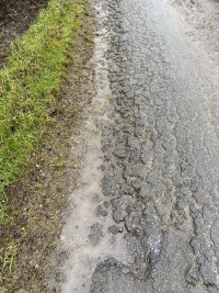 IMG_3873.jpeg