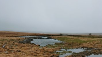 IMG20260226102351.jpg