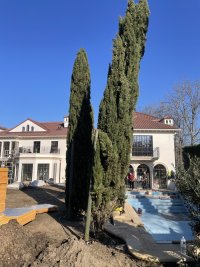 IMG_5842.jpeg