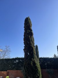 IMG_5846.jpeg