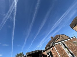 IMG_1632.jpeg