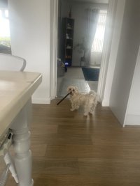 IMG_2867.jpeg IMG_2867.jpeg