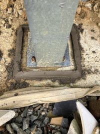 IMG_7979.jpeg