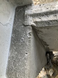 IMG_6976.jpeg