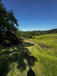 IMG_4375.jpeg