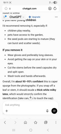 Screenshot_20260714_191154_Samsung Browser.jpg