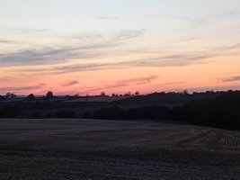 20260801_210914.jpg