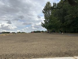 IMG_1531.jpeg