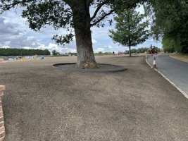 IMG_1530.jpeg
