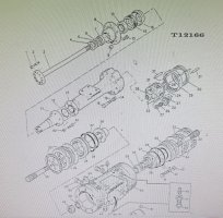 IMG_1920.jpeg