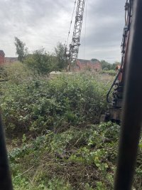 IMG_3106.jpeg IMG_3106.jpeg