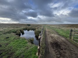 IMG_7839.jpeg