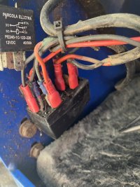 IMG_8957.jpeg