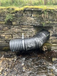 IMG_1796.jpeg