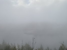20261019_094148.jpg