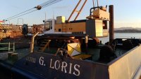 loris g.jpg