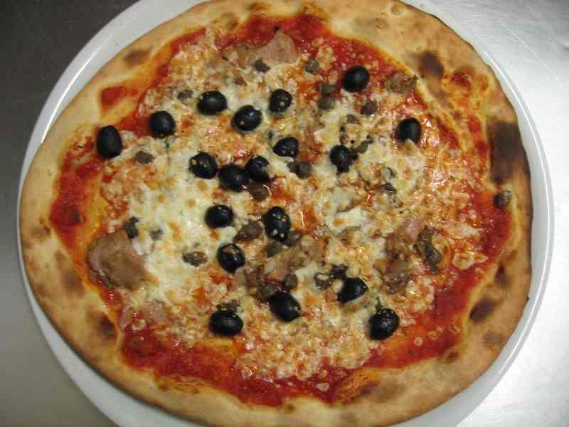 www.silviocicchi.com