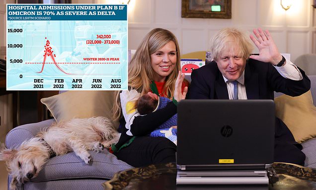 www-dailymail-co-uk.cdn.ampproject.org