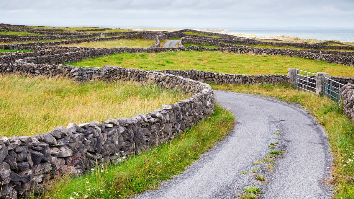 www.galwaybeo.ie